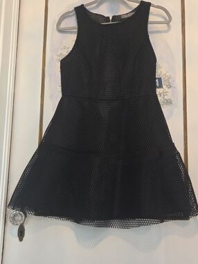finn & clover Black Mesh Sleeveless Fit-and-Flare Dress